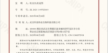 发明专利